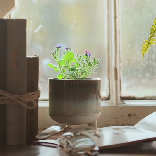 The Plantable Candle