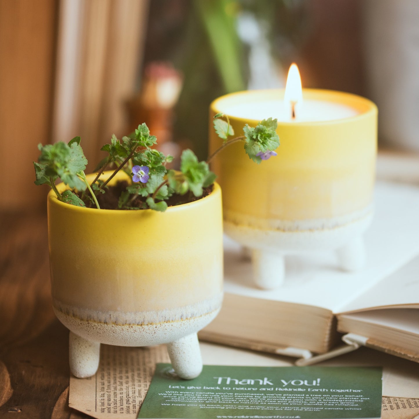 candles plant The Plantable Candle