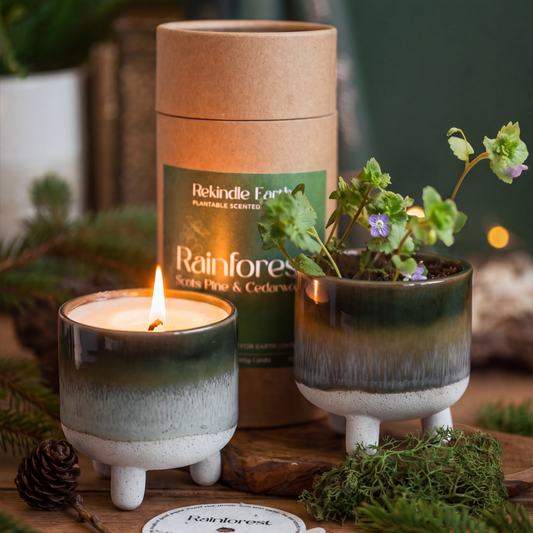 The Plantable Candle