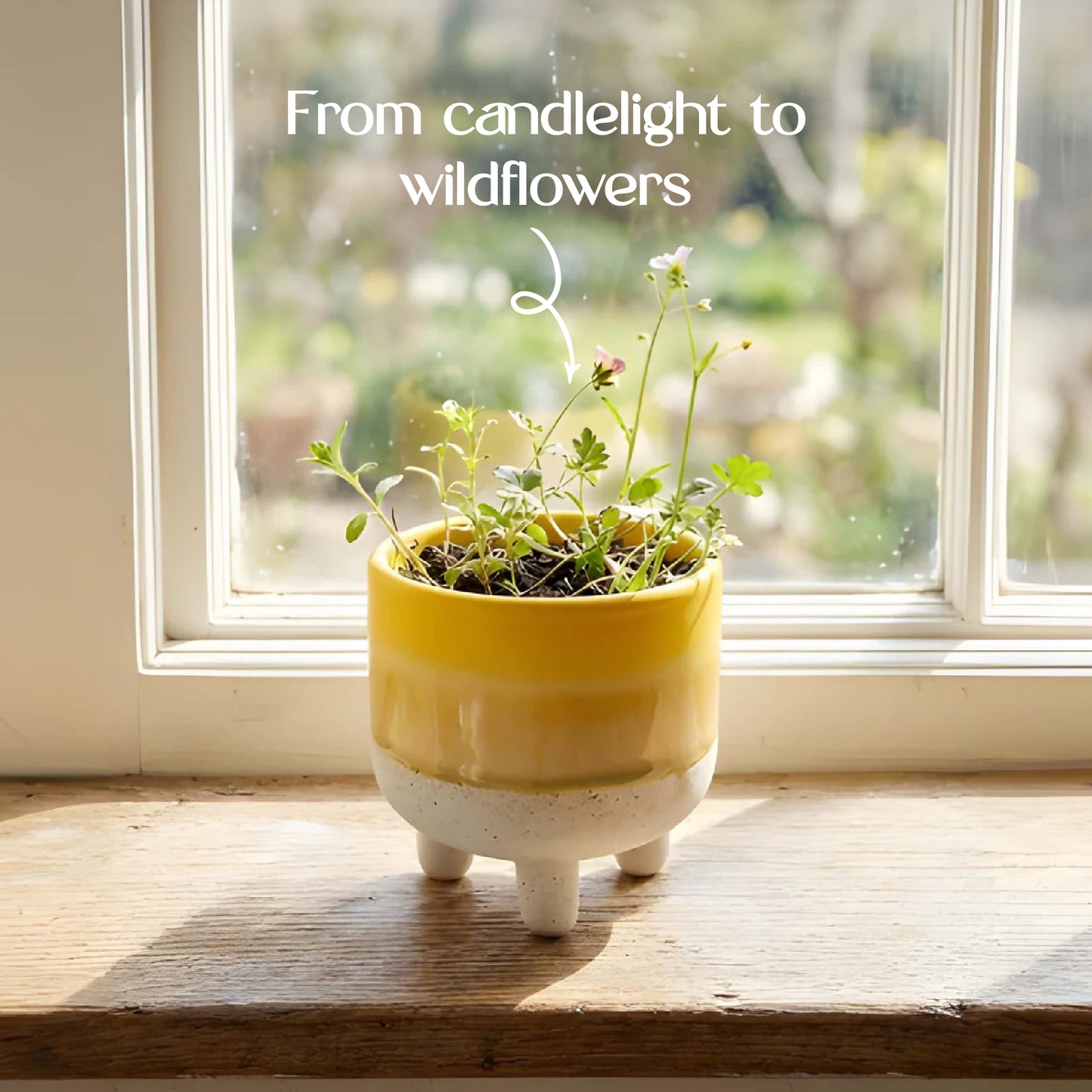 The Plantable Candle