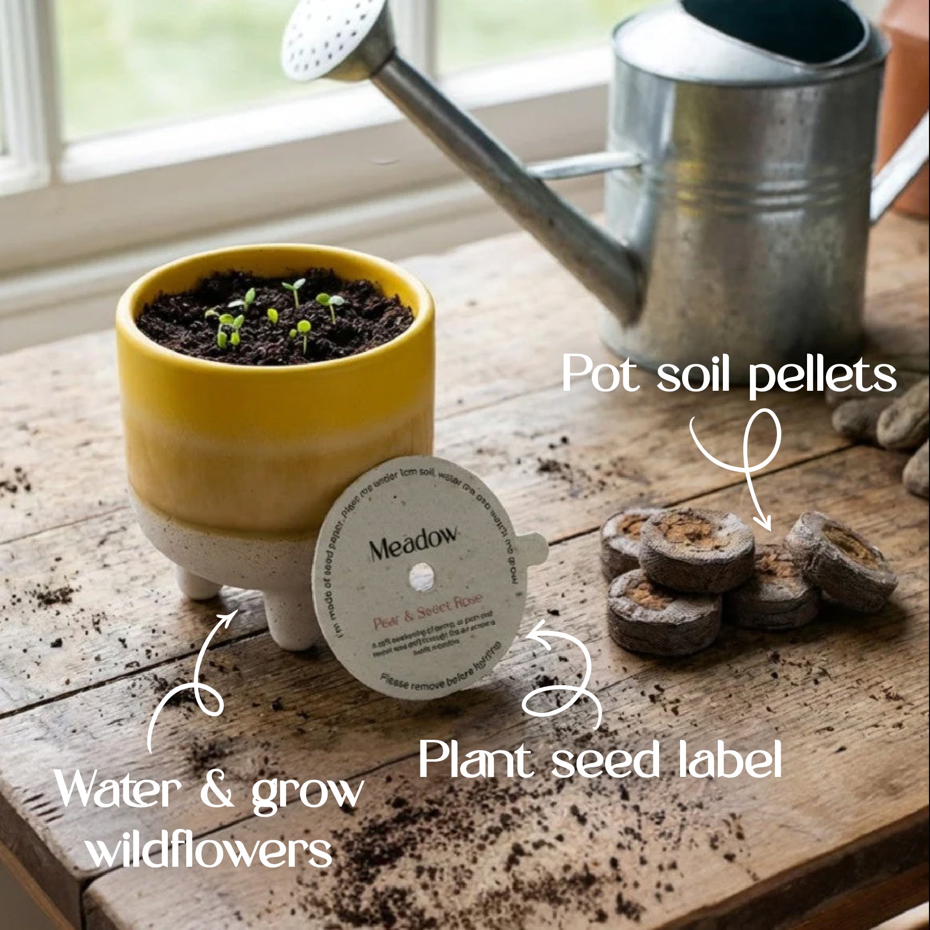 candles with seeds to plant The Plantable Scented Candle