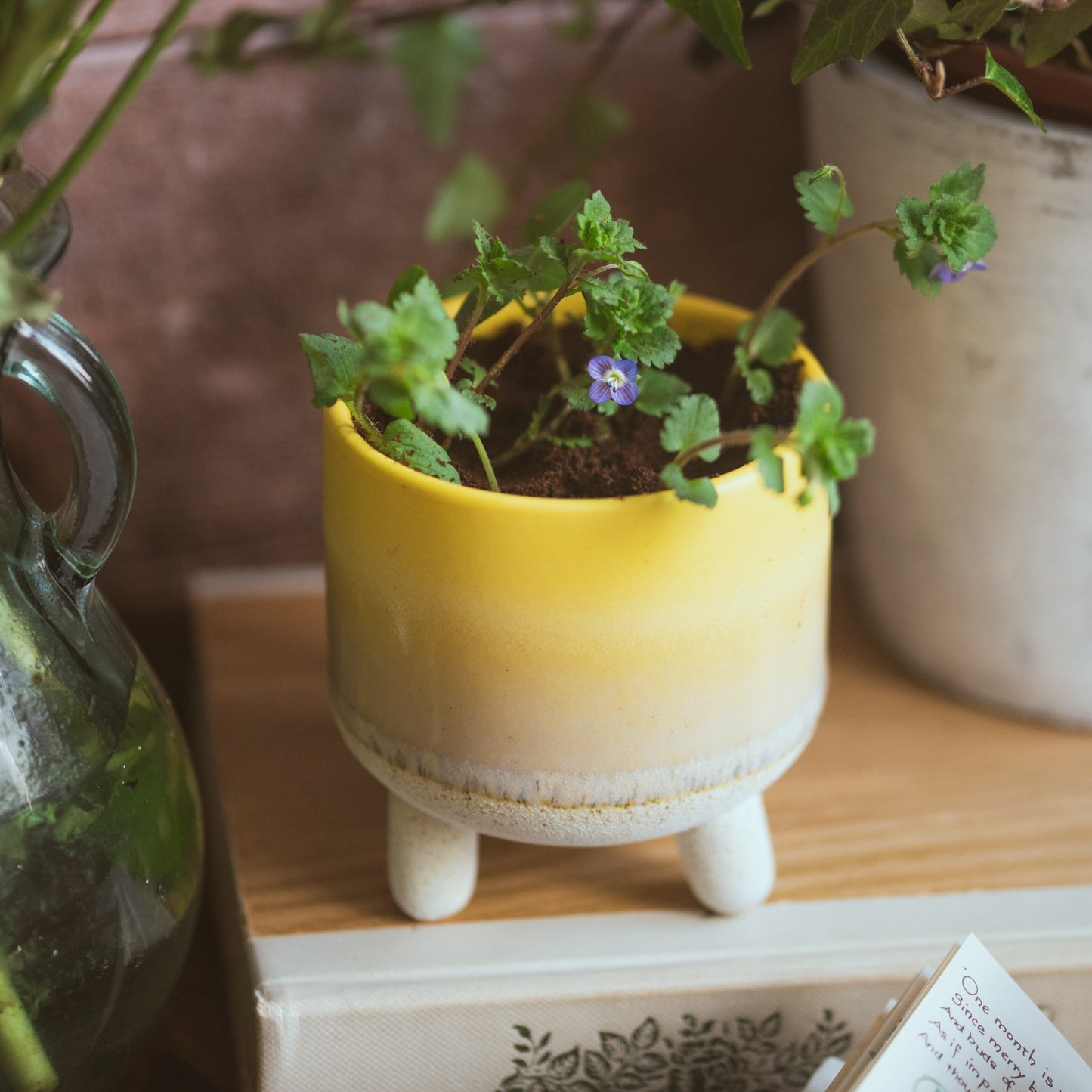 The Plantable Candle